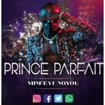 Prince Parfait - Minfe Noyou