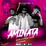 World Street Gang Feat Radikid - Aminita